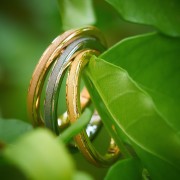 Women's Rings