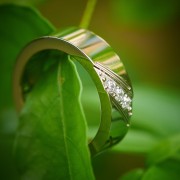 Titanium Rings